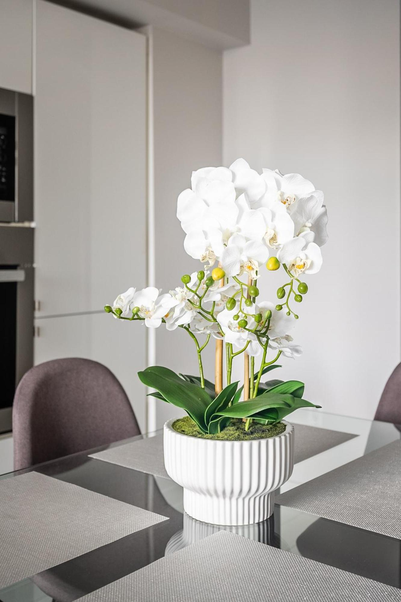 Globalstay Fabulous Toronto Condo المظهر الخارجي الصورة